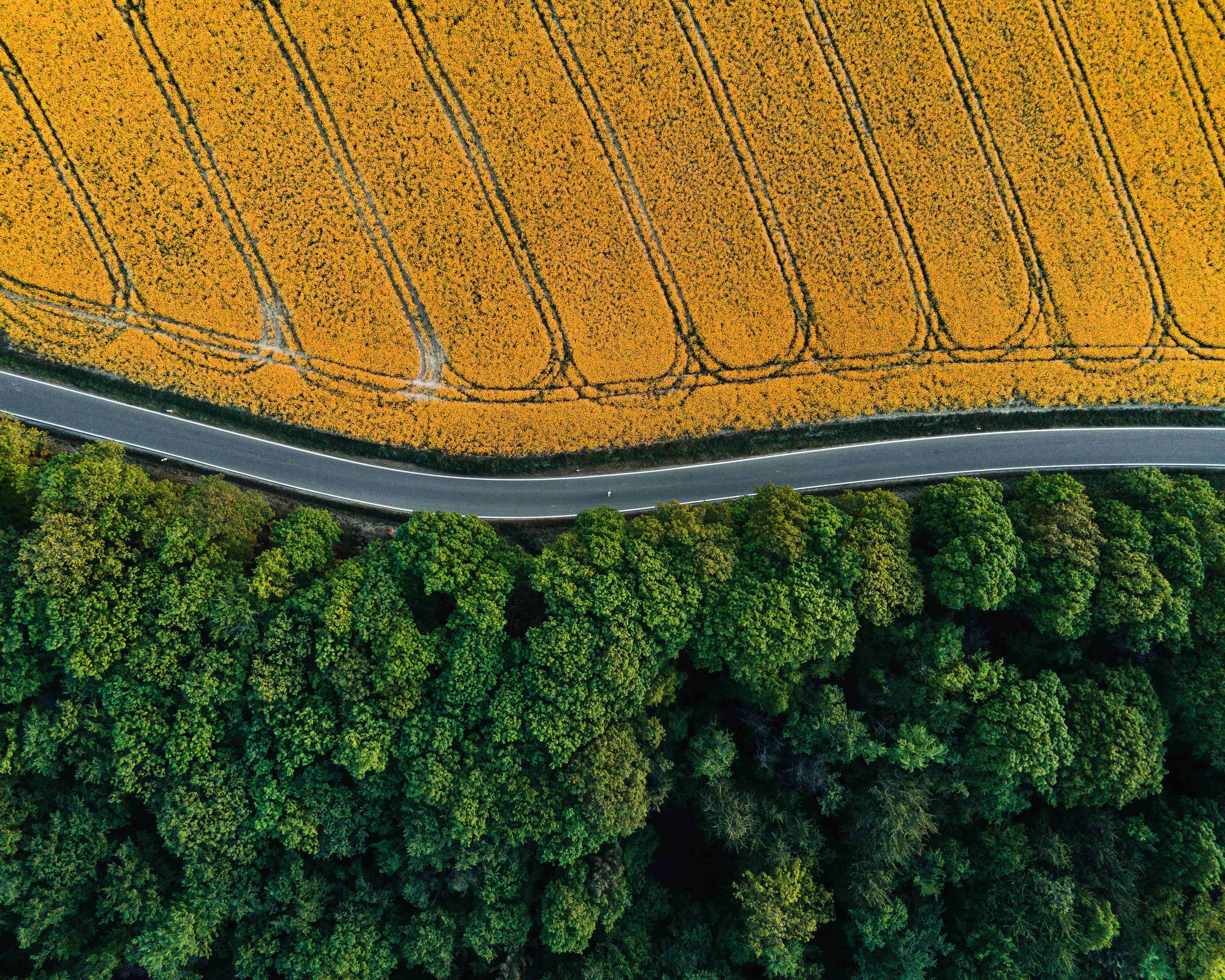 Herbstliches Foto aus der VG. © Nordpfälzer Land; Jan Wendling