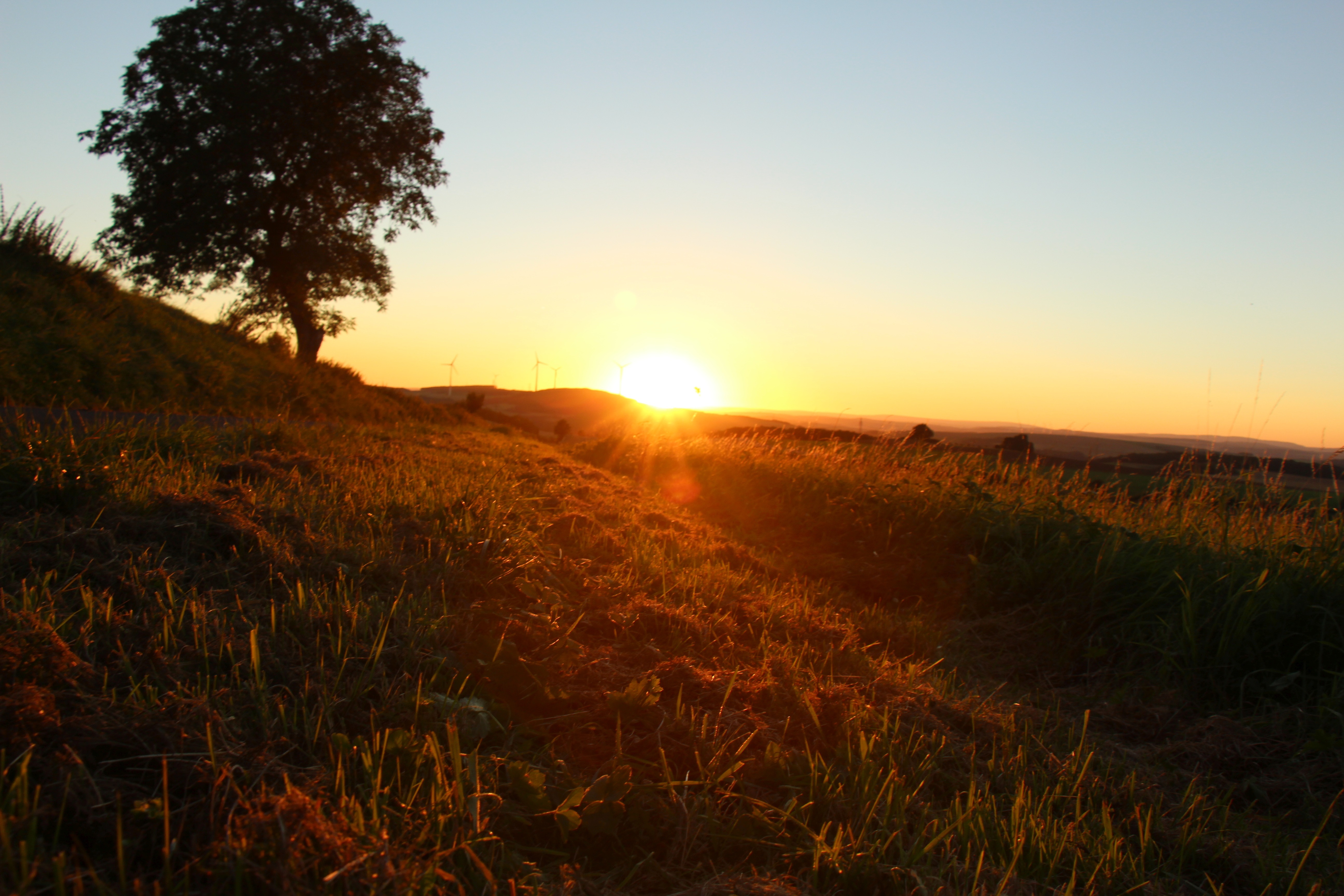 Herbstliches Foto aus der VG. © Nordpfälzer Land; Jan Wendling