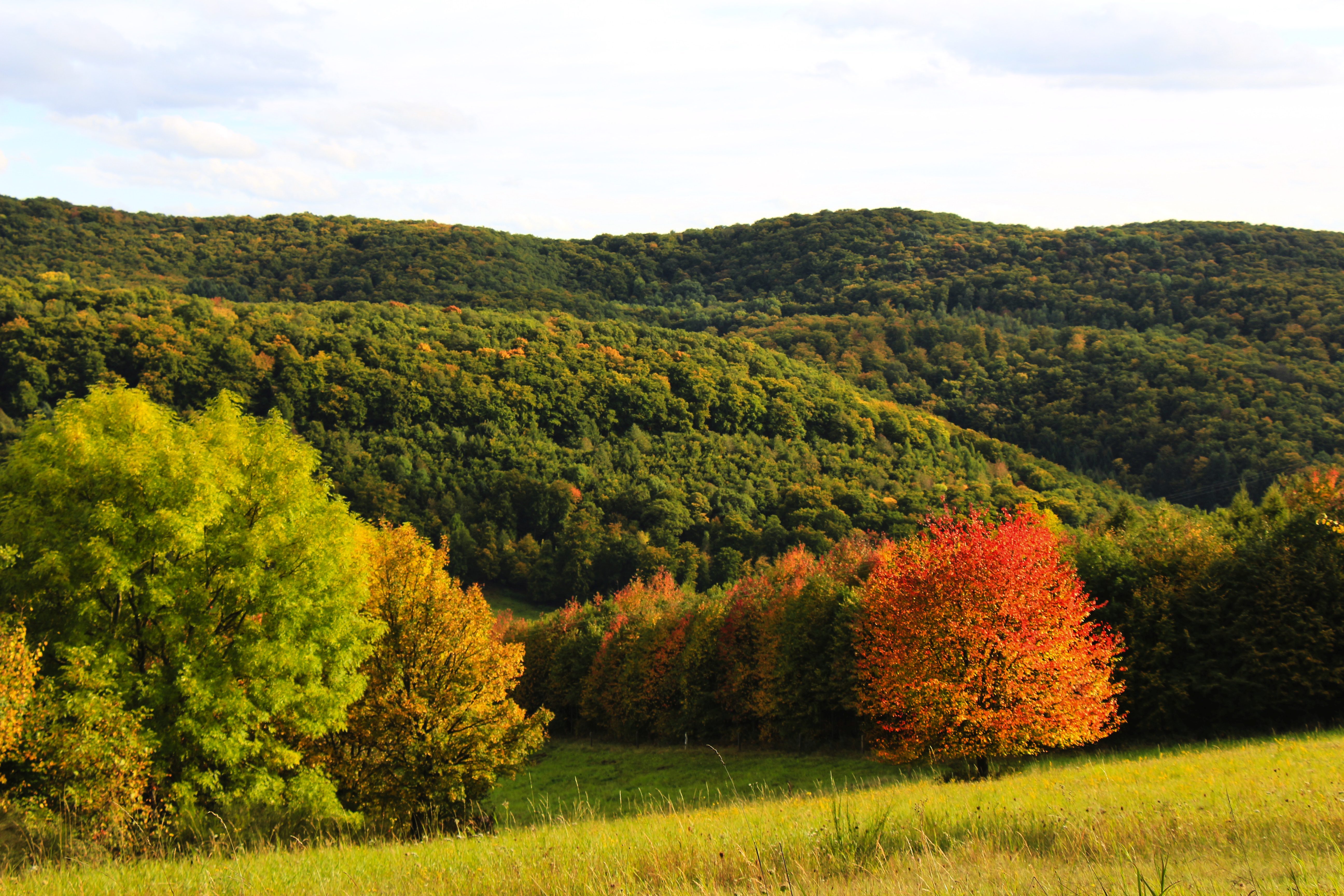 Herbstliches Foto aus der VG. © Nordpfälzer Land; Jan Wendling