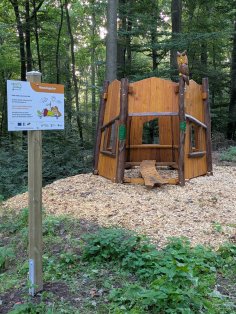 Himmelsgucker - Station auf dem Walderlebnispfad
