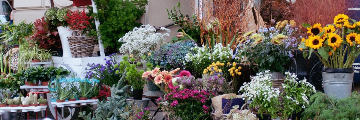 Blumengeschäft. Symbolfoto von Pixabay