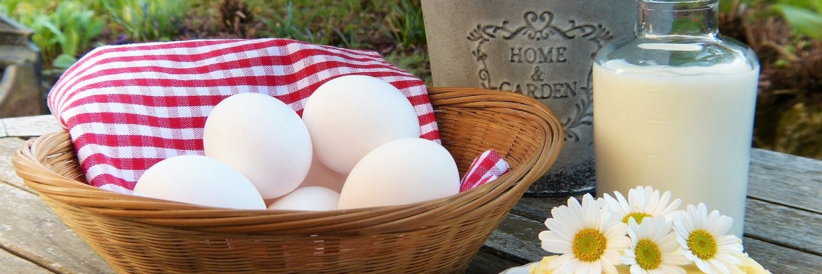 Käse, Quark und Eier. Symbolfoto von Pixabay