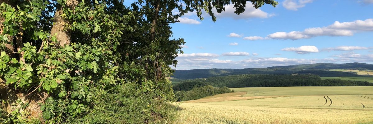 Wanderweg im Nordpfälzer Land. Symbolbild.