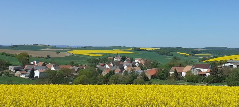 Ortsblick Dörrmoschel