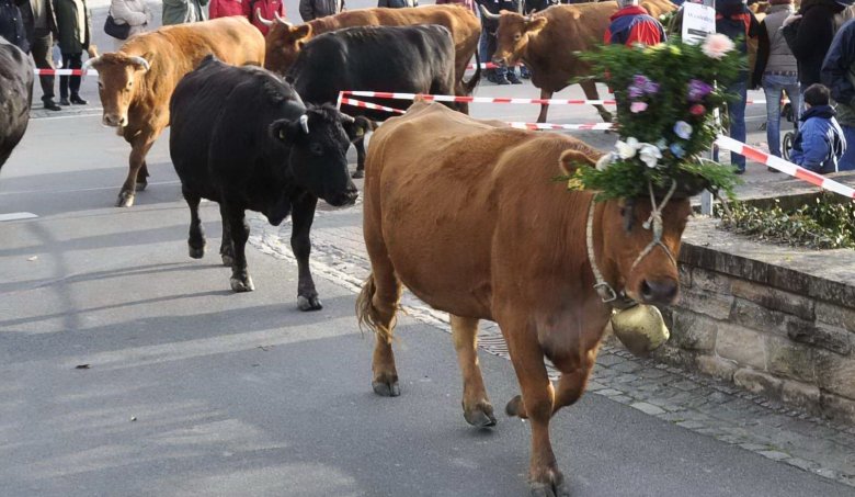 Das Weideatriebsfest
