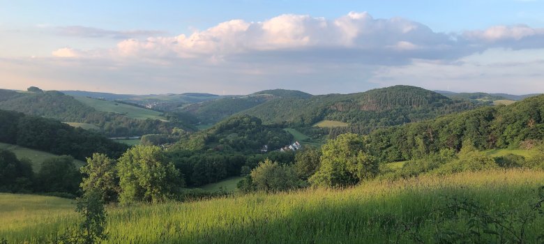 Landschaft rund um Imsweiler