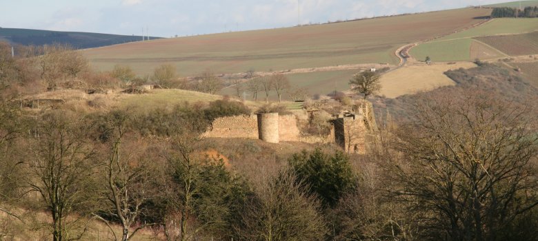 Blick zur Ruine Randeck