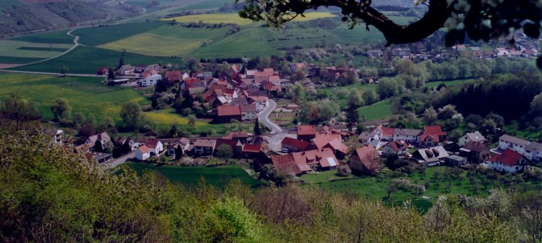 Blick über Mannweiler-Cölln