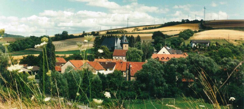 Blick auf Oberndorf