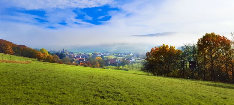 Blick auf Ransweiler, Wiese im Vordergrund