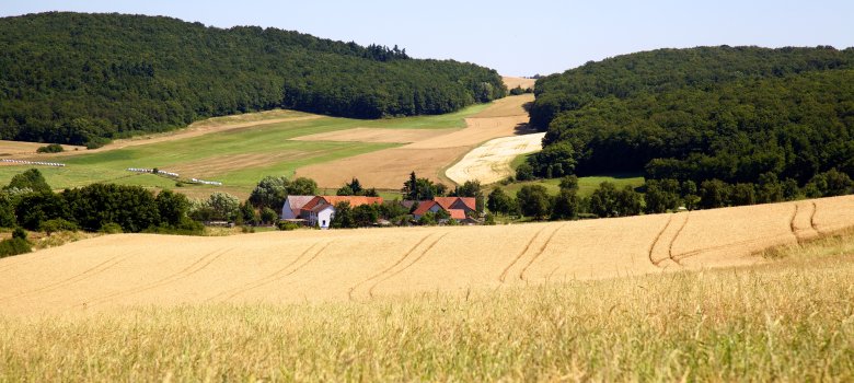 Landschaftsfoto aus der Verbandsgemeinde