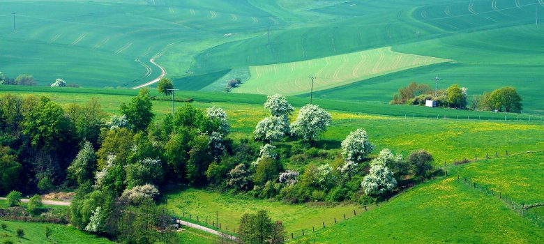 Landschaftsfoto aus der Verbandsgemeinde