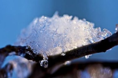 Ast mit Schnee
