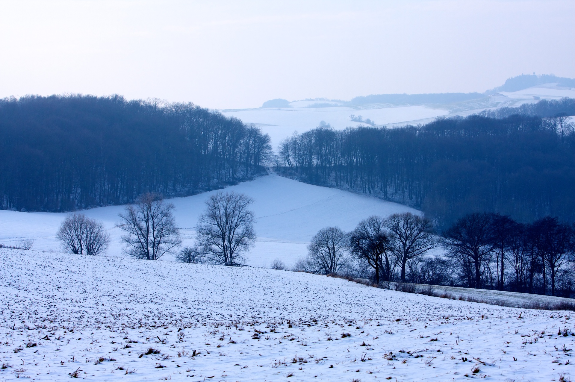 Foto Nordpfälzer Land Winter