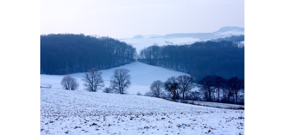 Foto Nordpfälzer Land Winter