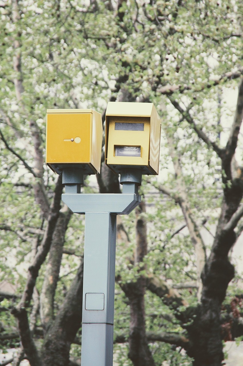 Peggy_Marco_Pixabay Symbolfoto Blitzer